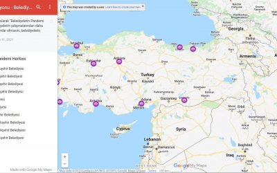 Pandemic Map of Turkish Municipalities